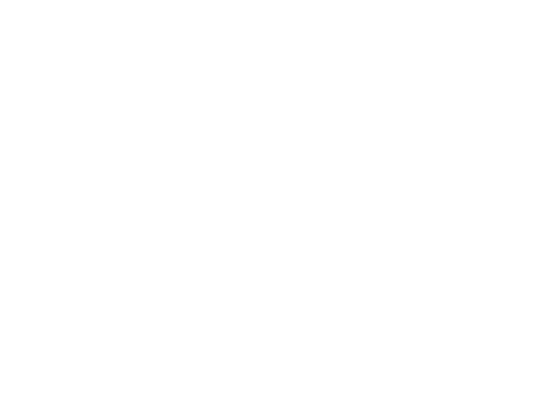 Logo blanc Sabrina Macedo